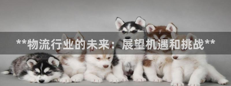 28圈下载二维码：**物流行业的未来