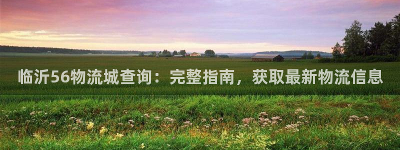 28圈aPP退款：临沂56物流城查询