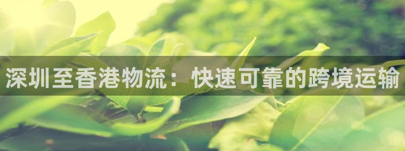28圈注册与教程：深圳至香港物流：快