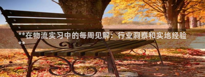 28圈.ccm
