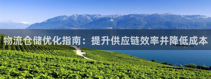 28圈账号注册：物流仓储优化指南：提