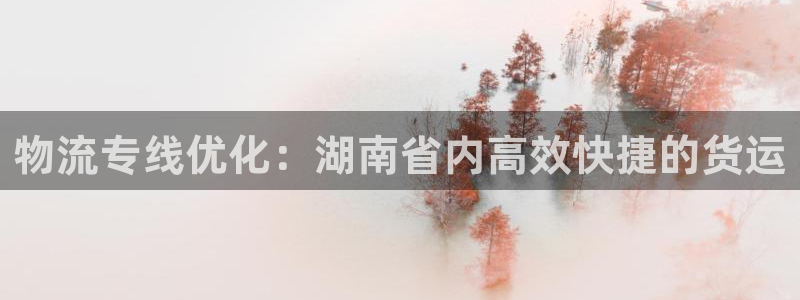 28圈注册链接教程：物流专线优化：湖