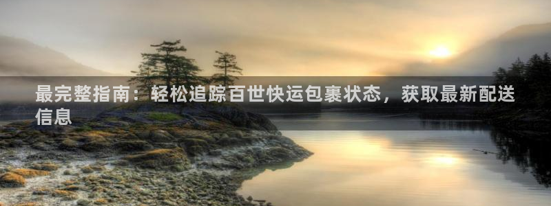 28圈预测加拿大：最完整指南：轻松追