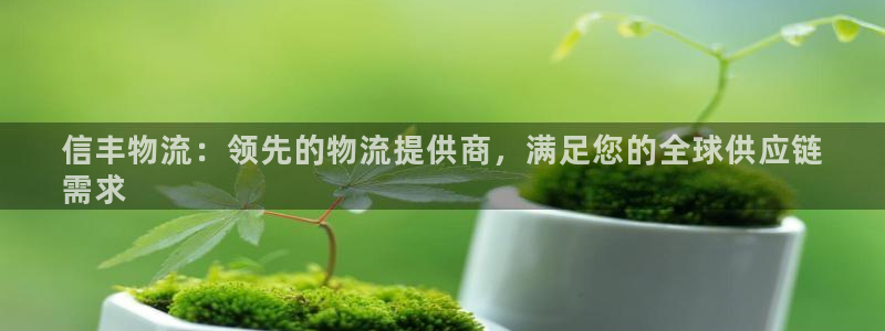 28圈怎么注册游戏名字：信丰物流：领