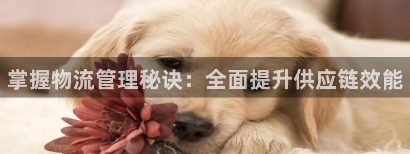 28圈赌博软件正规吗：掌握物流管理秘