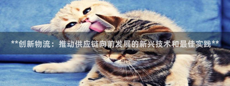 28圈官方平台