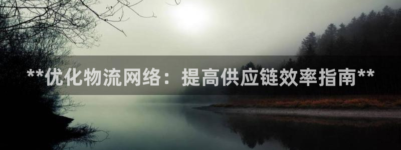 28圈登录：**优化物流网络：提高供