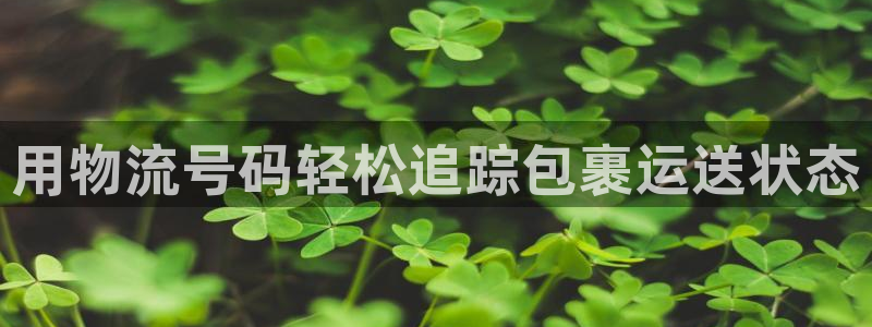 28圈的平台：用物流号码轻松追踪包裹