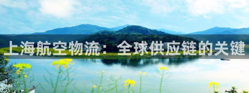 28圈图片：上海航空物流：全球供应链
