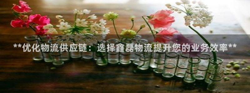 28圈注册登录链接流程：**优化物流