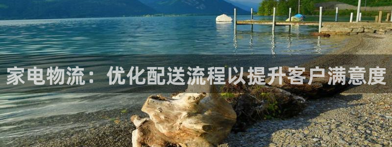 28圈注册网站链接是什么：家电物流：