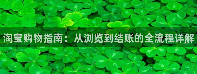 28圈.ccm南宫：淘宝购物指南：从