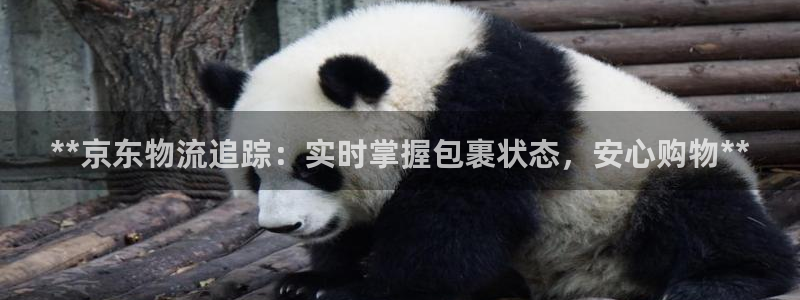 28圈的平台：**京东物流追踪：实时