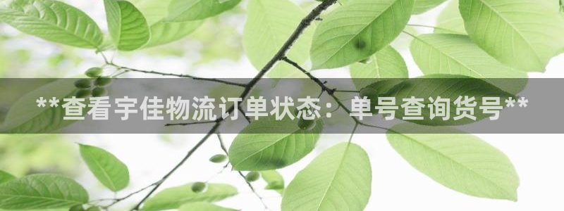 28圈登录网：**查看宇佳物流订单状