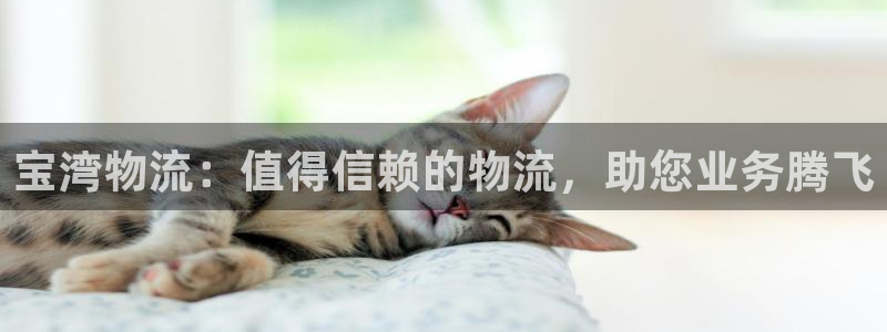 28圈可靠吗