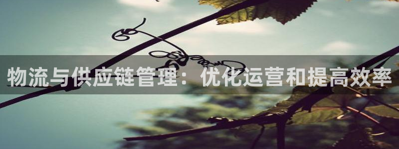 28圈游戏链接：物流与供应链管理：优