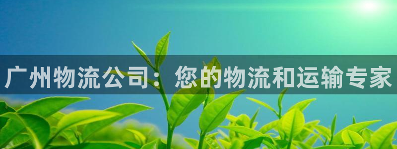 28圈.ccmpc是诈骗吗?：广州物