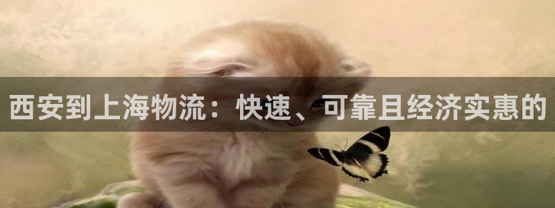 28圈推广链接是多少个：西安到上海物