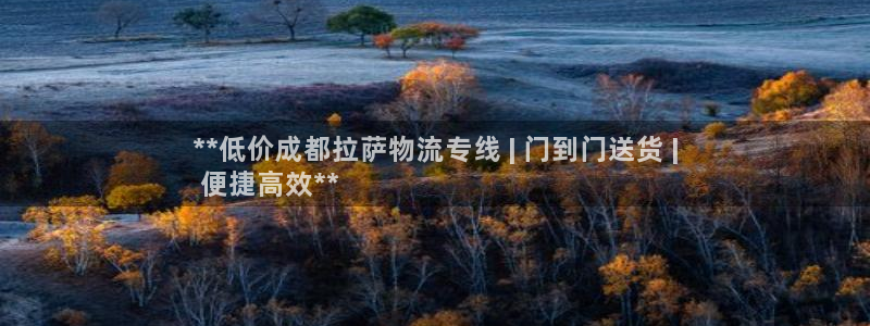 28圈的平台