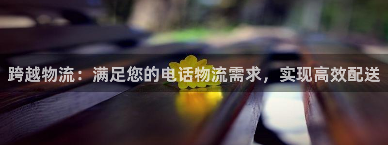 28圈app注册地址：跨越物流：满足