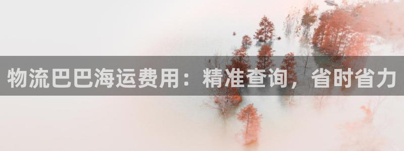 28圈登录不上咋回事：物流巴巴海运费
