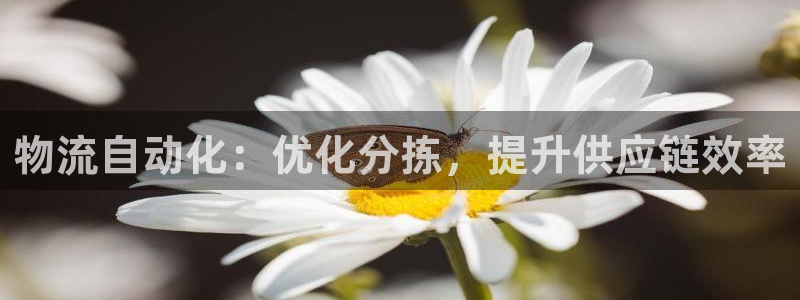 28圈能不能退：物流自动化：优化分拣