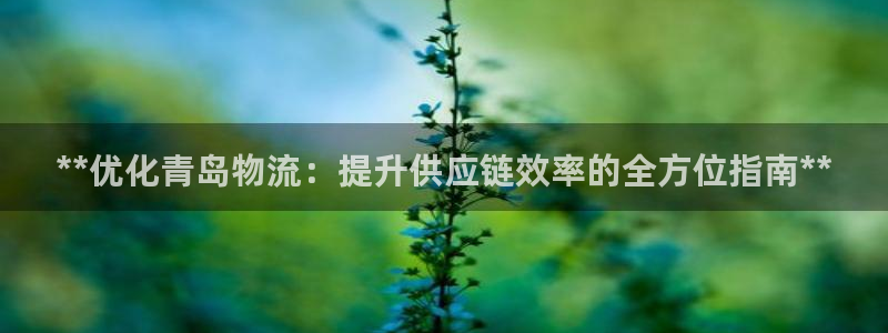 28圈黑款：**优化青岛物流：提升供