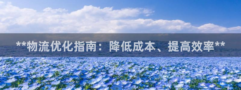28圈加拿大怎么玩：**物流优化指南