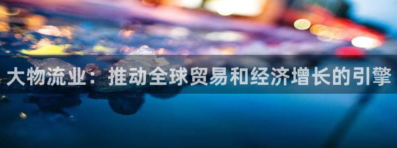 28圈加拿大下载：大物流业：推动全球