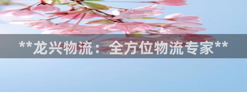 28圈游戏：**龙兴物流：全方位物流