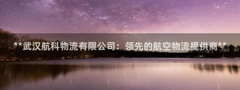 28圈官方平台：**武汉航科物流有限