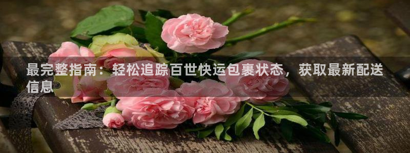 28圈电子游戏：最完整指南：轻松追踪