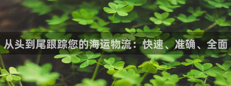 28圈麻将胡了在线试玩：从头到尾跟踪