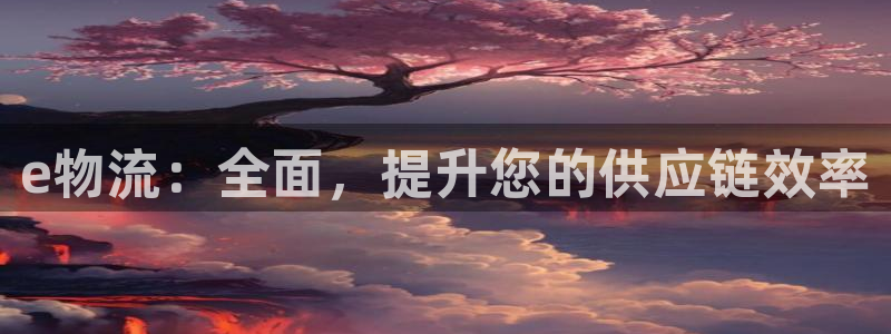 28圈aPP退款：e物流：全面，提升
