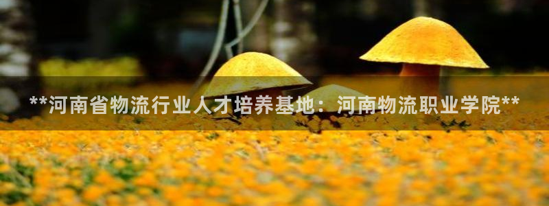 28圈充值为什么充不了