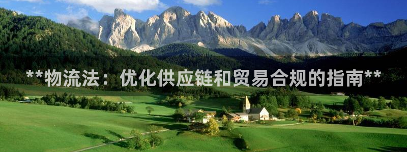 28圈登录：**物流法：优化供应链和