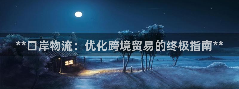28圈注册号：**口岸物流：优化跨境