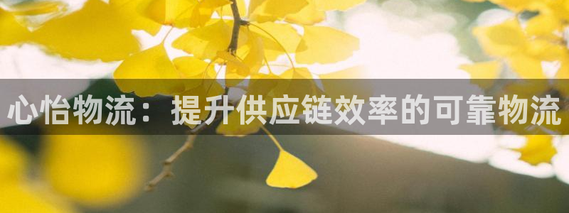 28圈注册网址百度知道：心怡物流：提