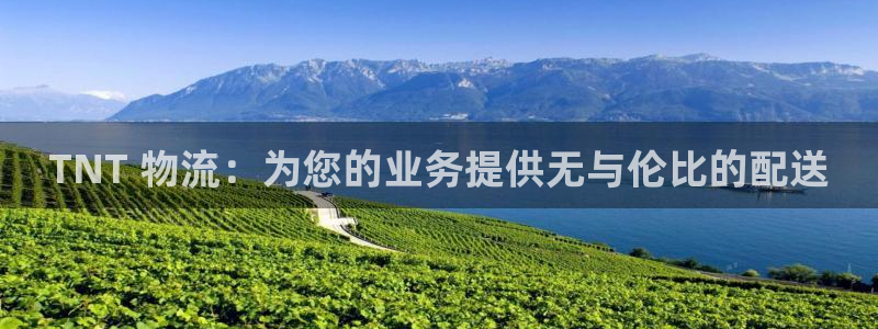 28圈电子游戏