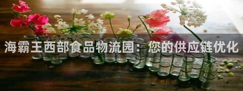 28圈客服电话