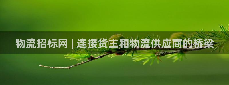 28圈是啥：物流招标网 | 连接货主