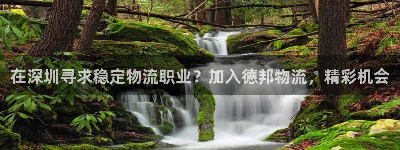 28圈注册：在深圳寻求稳定物流职业？