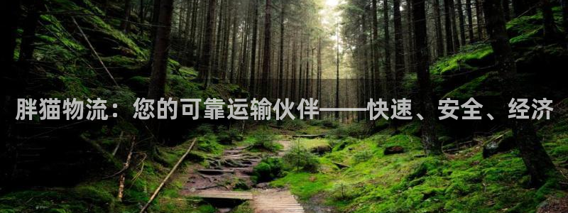 28圈旗下：胖猫物流：您的可靠运输伙