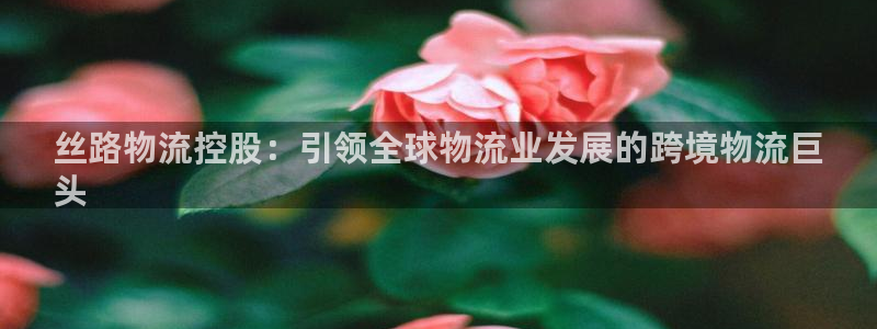28圈官网版2024：丝路物流控股：