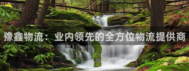 28圈注册号：豫鑫物流：业内领先的全