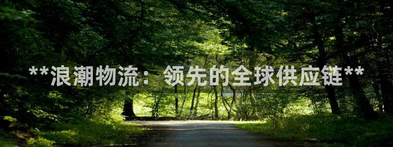 28圈注册用户名是什么：**浪潮物流