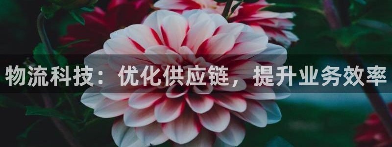 28圈注册网站链接是什么：物流科技：