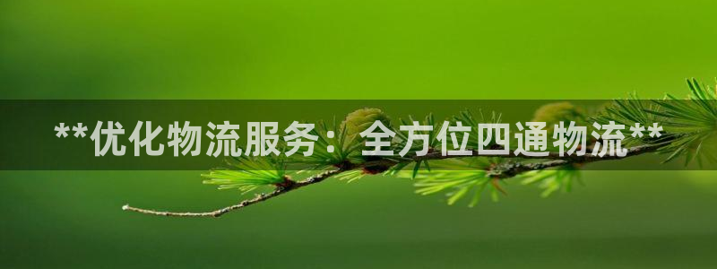 28圈激活码：**优化物流服务：全方