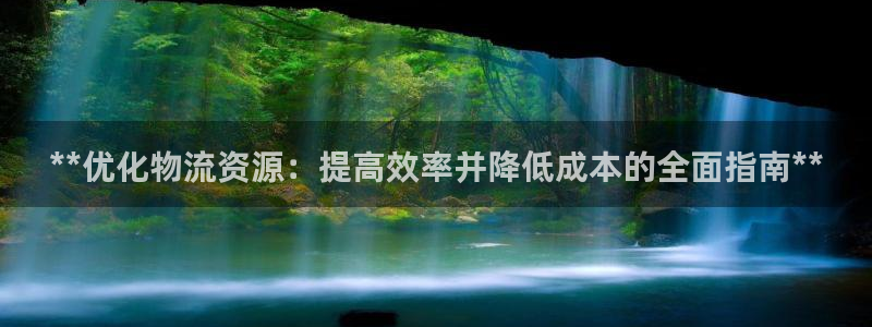 28圈正规吗：**优化物流资源：提高