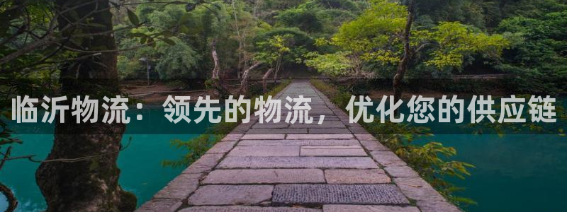 南宫28圈官网版：临沂物流：领先的物